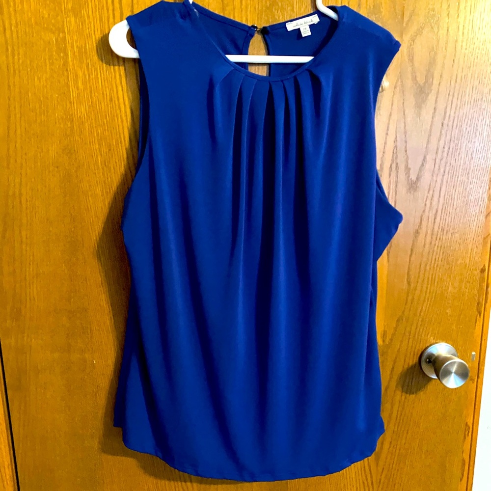 White Birch blue sleeveless blouse NWOT